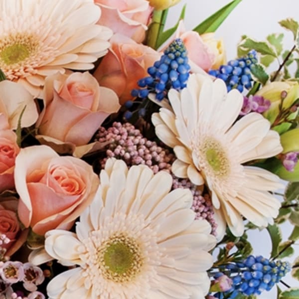 Bouquet of peach roses, white daisies, and blue flowers