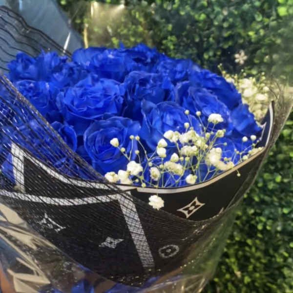 Bouquet of vivid blue roses with white baby's breath in black wrap