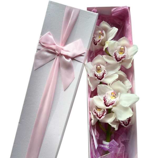 White orchid stems in a pink gift box with a satin ribbon
