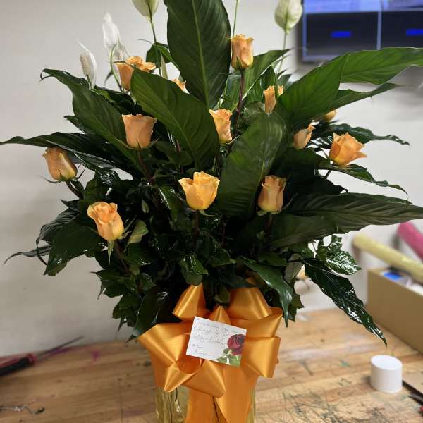 Orange roses in a gold vase with white peace lilies