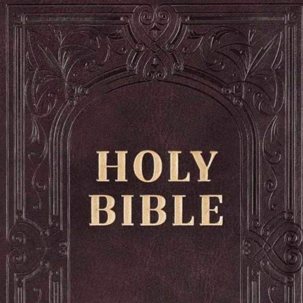 A dark brown Holy Bible cover with ornate embossed borders