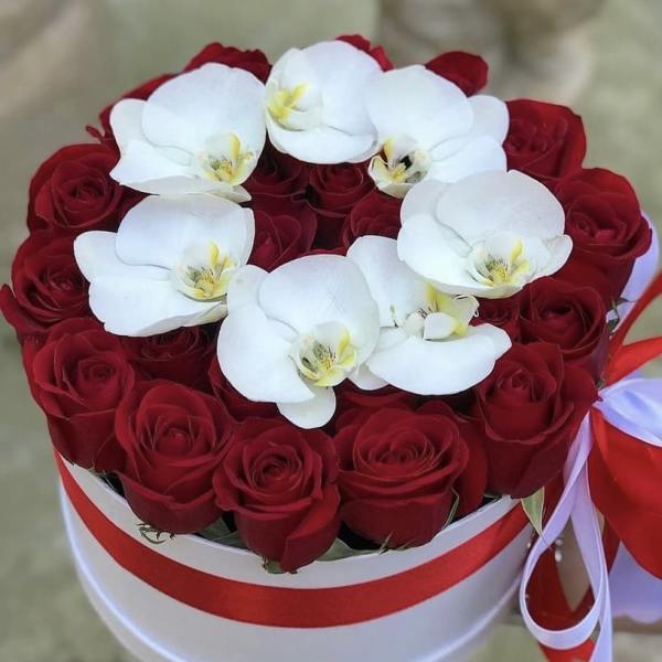 Red roses with white orchids in a round white box
