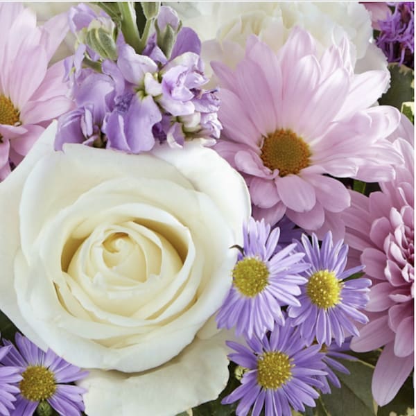 Close-up bouquet of white roses, pink daisies, and purple flowers
