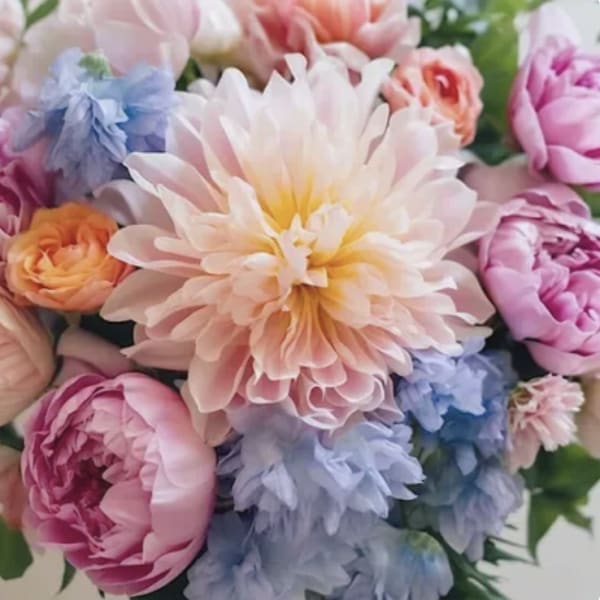 Designer's Choice Spring