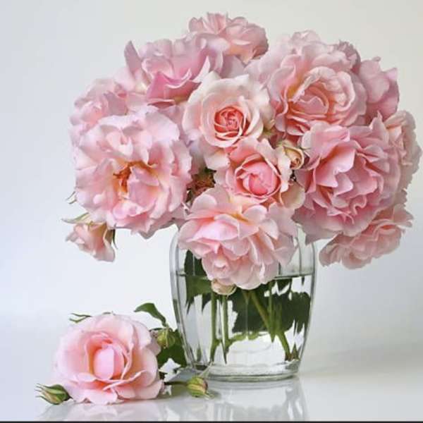 Pink roses in a clear glass vase with one bloom resting beside it