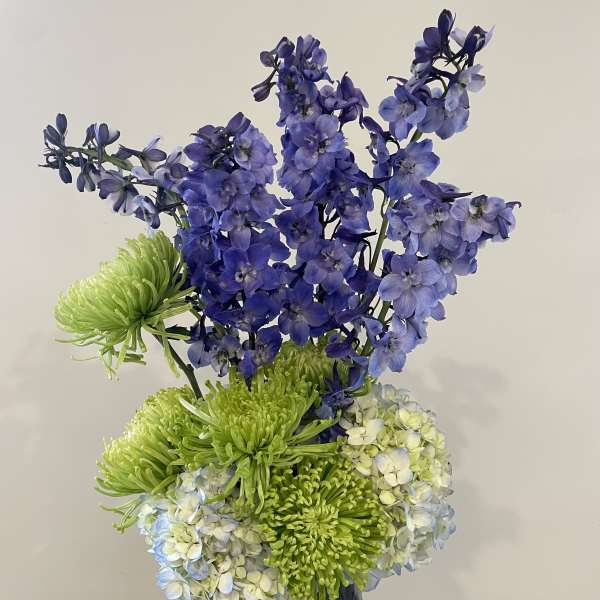 Blue delphinium and green chrysanthemums in a dark vase