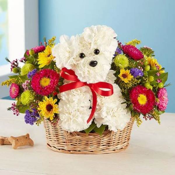 a-DOG-able in a Basket