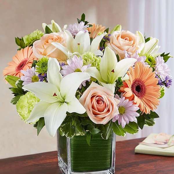 Healing Tears Multicolor Pastel