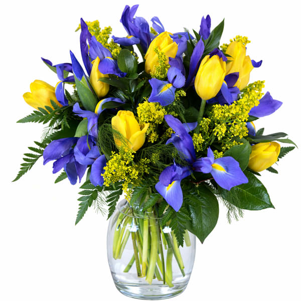 Yellow tulips and blue irises in a clear glass vase