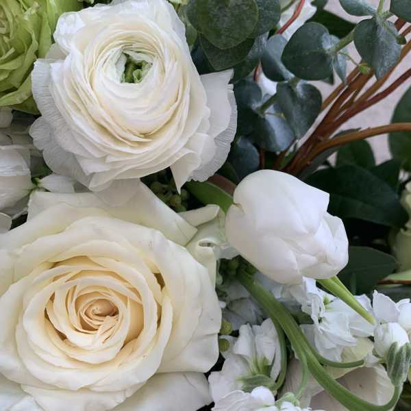 Close-up bouquet of white roses and a white tulip with dark green foliage