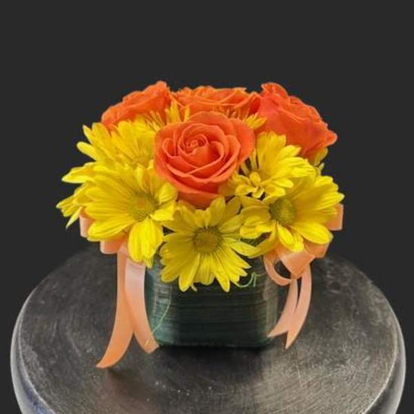 #A133 - Sunshine Cube