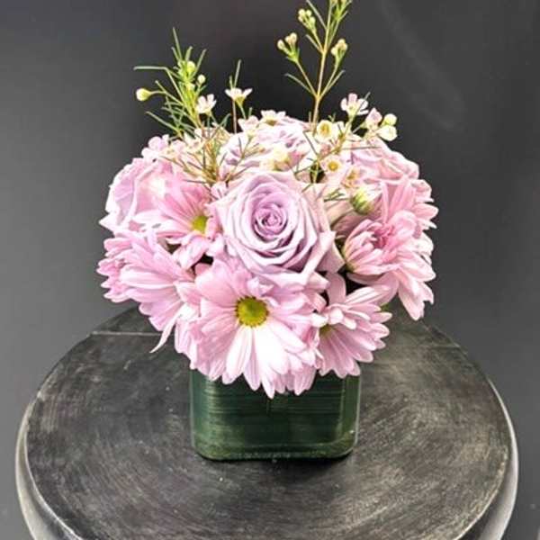 #A037 - Purple Passion