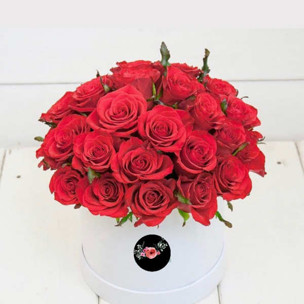 Red roses arranged in a white round box