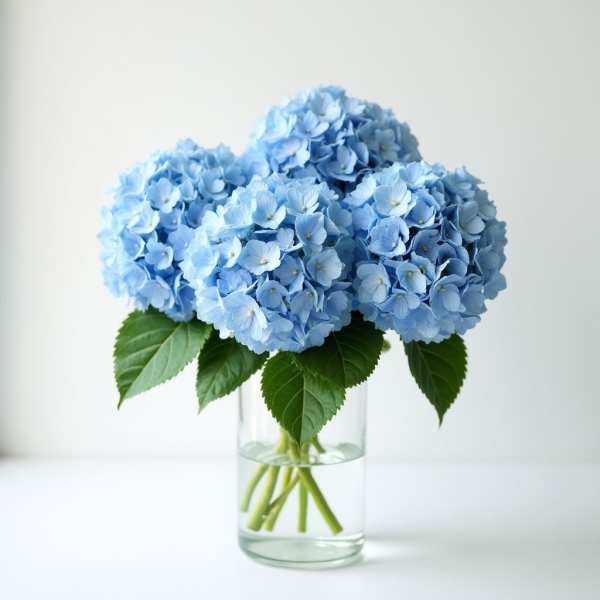 Blue hydrangea bouquet in a clear glass vase