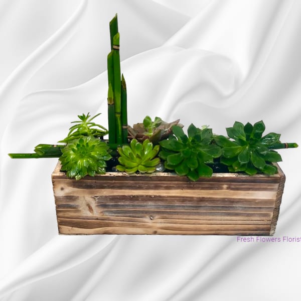 Succulent arrangement in a wooden planter with tall bamboo stalks
