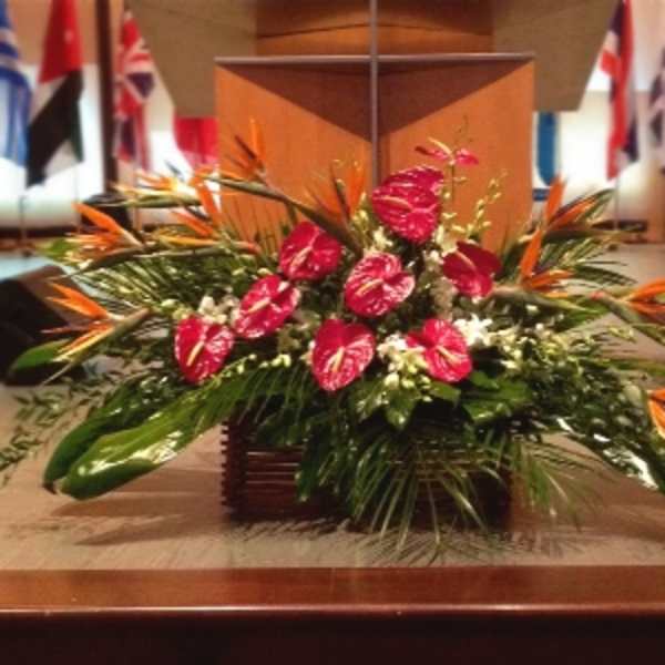 Large tropical arrangement with red blooms and orange accents in a low wooden container on a stage.