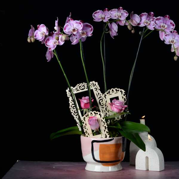 Pink orchids and roses arranged in a painted ceramic pot