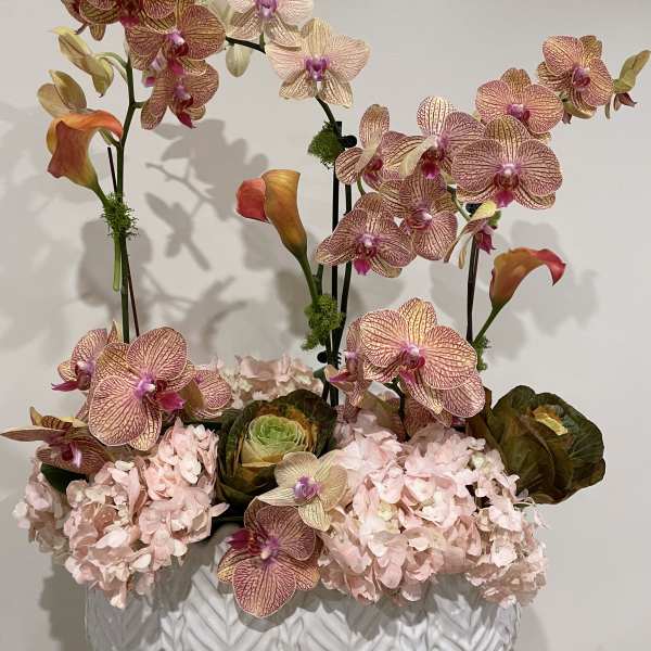 Orchid and hydrangea arrangement in a white textured planter