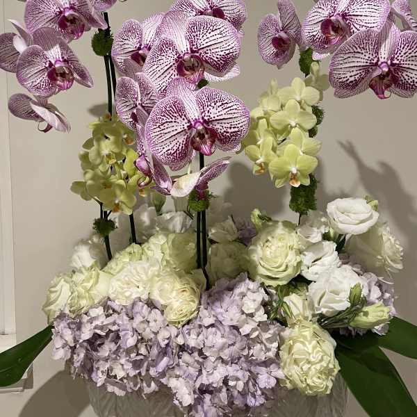 Arrangement of pink orchids, white roses, and pale hydrangeas in a vase
