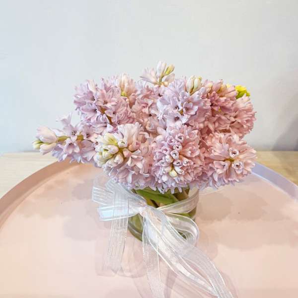 Pink hyacinth bouquet in a clear glass vase with a sheer ribbon