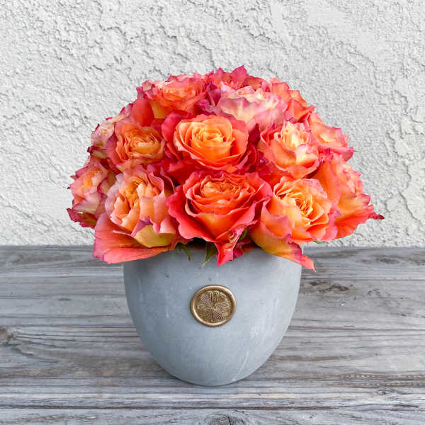 Orange and pink roses arranged in a gray vase