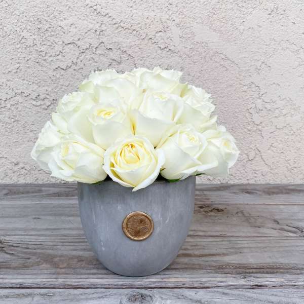 White rose bouquet in a gray vase