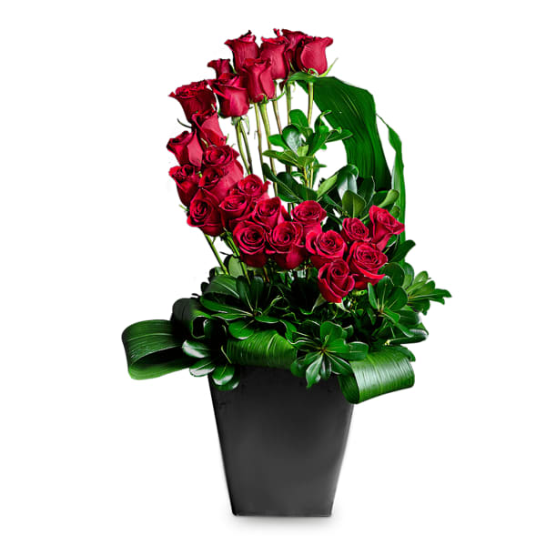 Red roses arranged in a tall black vase with glossy green foliage