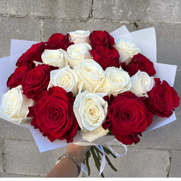 Bouquet of red and white roses wrapped in white paper