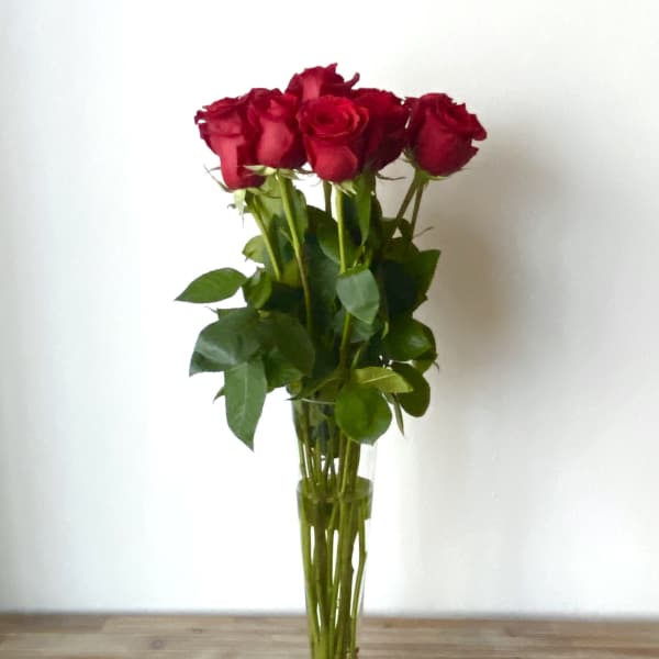 Tall vase of red roses with green foliage