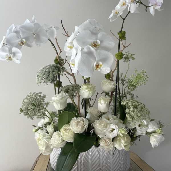 White orchids and roses arranged in a white ceramic vase