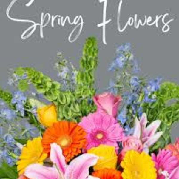 Spring Designer's Choice