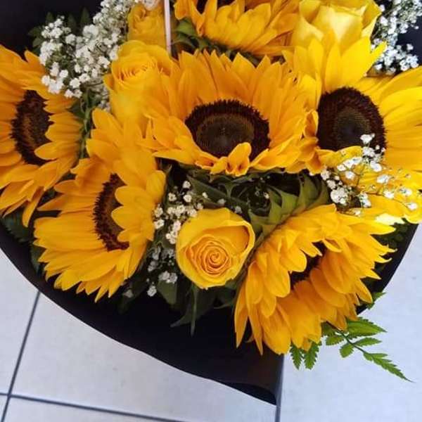 Love Sunflowers