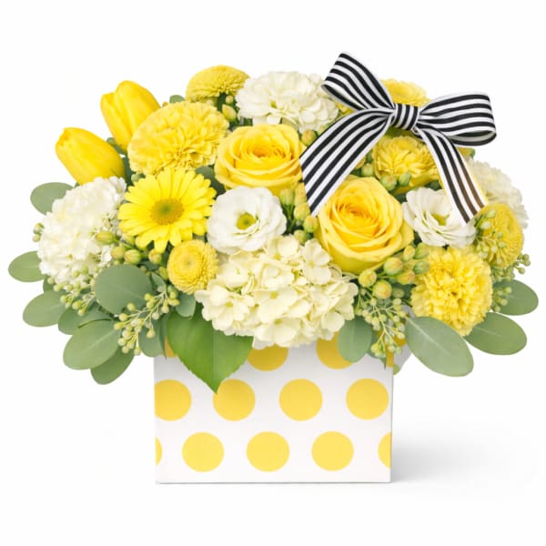 Polka Dots & Stripes Yellow