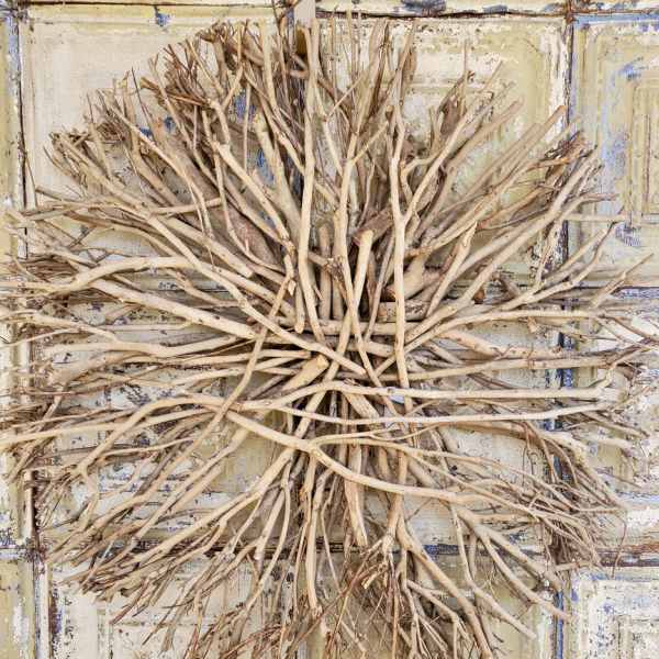 Bundle of pale dried branches arranged in a radial pattern