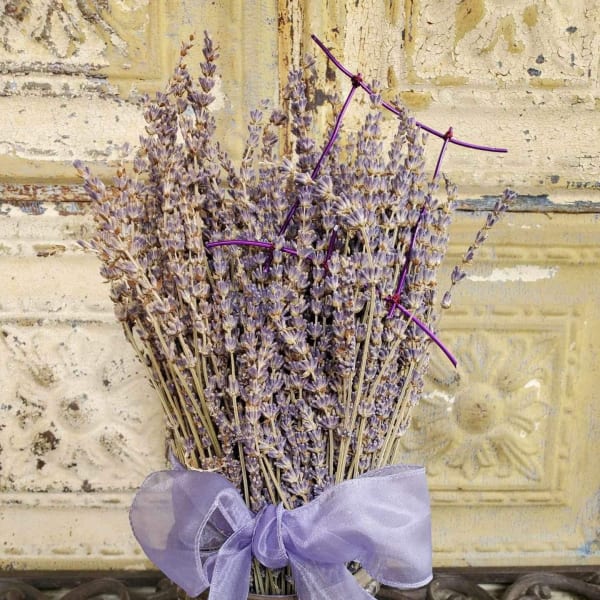 Bundle of dried lavender tied with a purple ribbon in a decorative pot