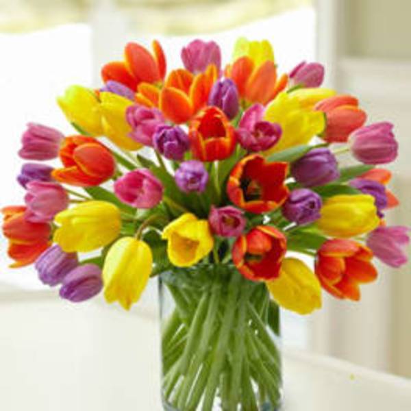 Bouquet of multicolored tulips in a clear glass vase