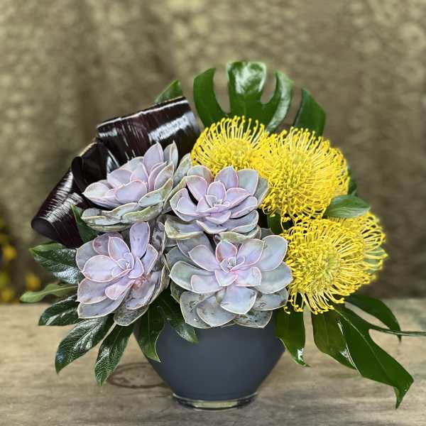 Succulent arrangement with yellow pincushion blooms in a dark vase