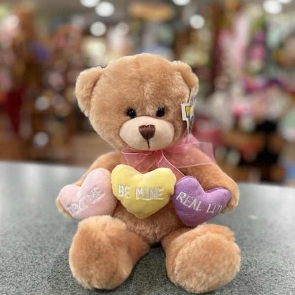 Plush teddy bear holding three heart pillows with Valentine messages