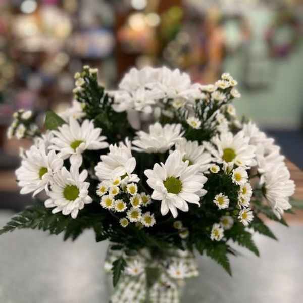 White daisy bouquet with a checkered ribbon