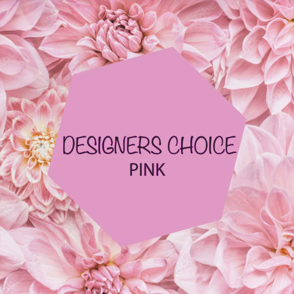 Pink dahlia blooms with a center label reading Designers Choice Pink.