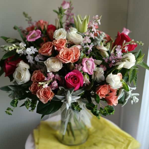 She walks in Softness