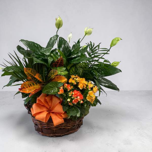 Petal Perfection’s European Plant Garden