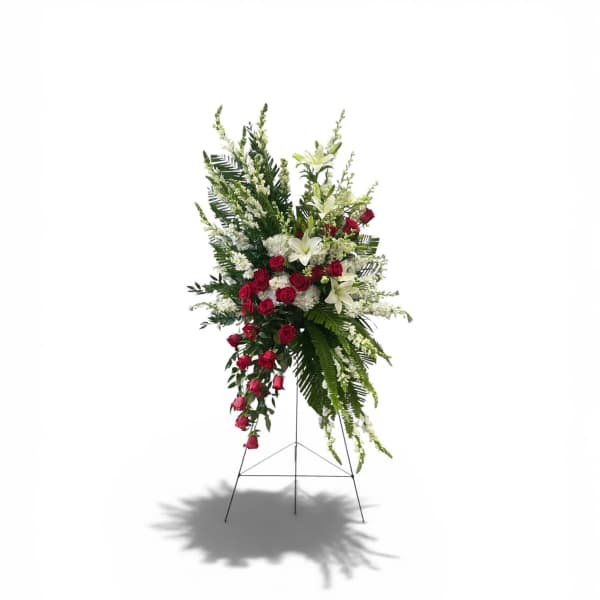 The Modern Bleeding Heart Spray