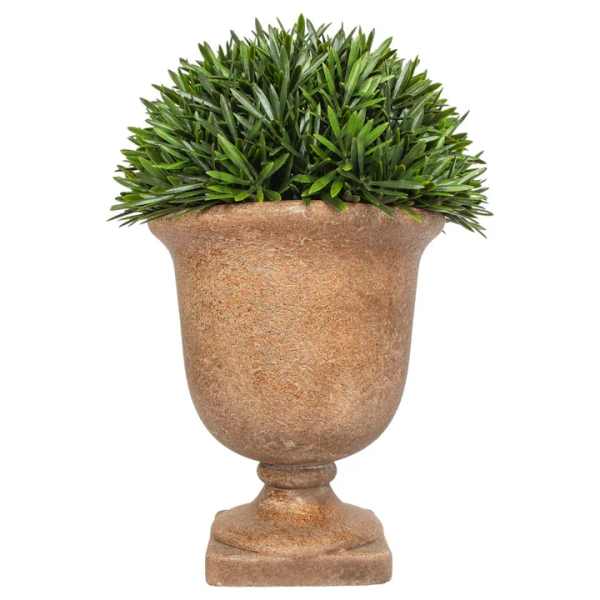 Potted green plant in a brown urn-style planter
