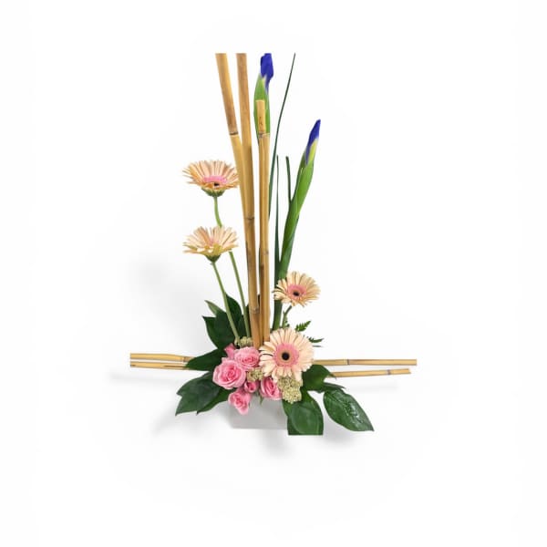 Daisy Dalliance by Petal Perfection