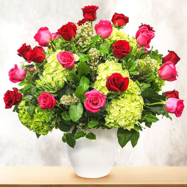 Bouquet of red and pink roses with green hydrangeas in a white vase