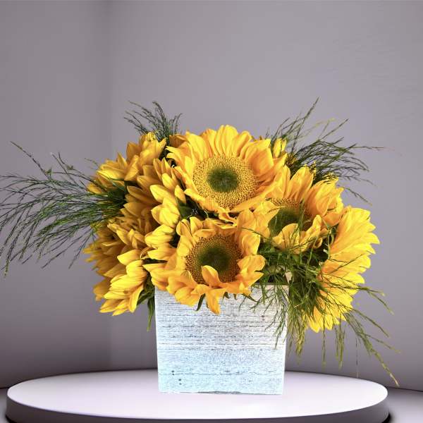 Sunflower arrangement in a white wooden box