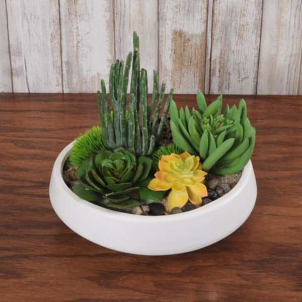 Assorted succulents arranged in a low white ceramic bowl planter