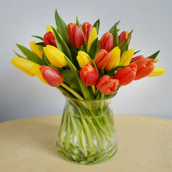 3 dozen mixed tulip