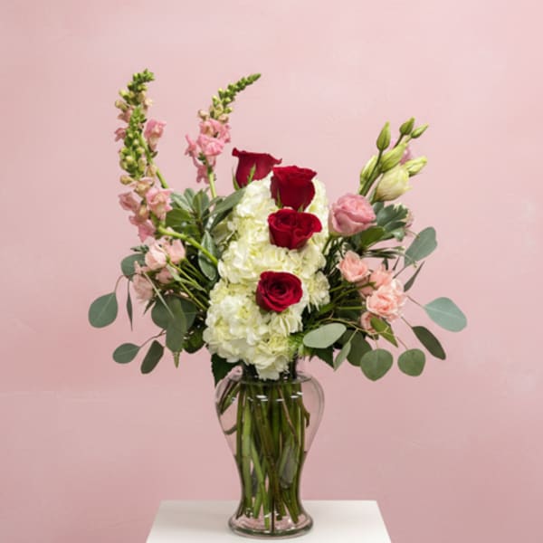 Red roses and white hydrangeas in a clear glass vase